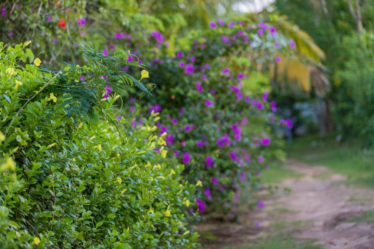 Rock Violet Cabanas Tangalle Exterior foto